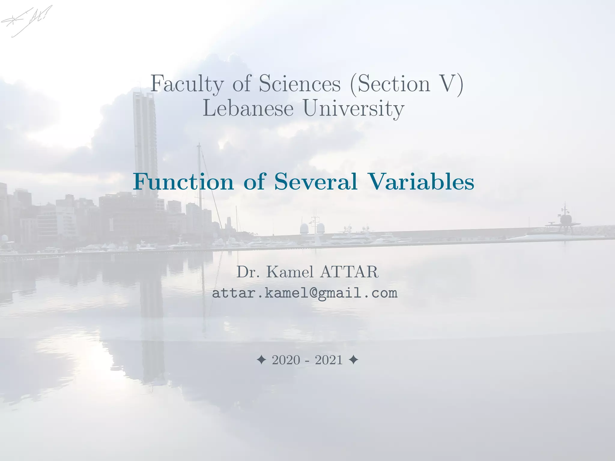Function of several variables | PDF | Programming Languages | Computing