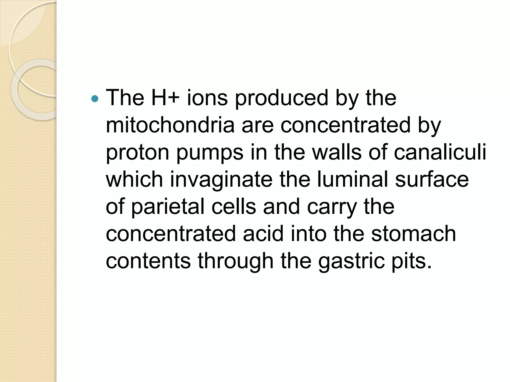  The H+ ions produced by the
mitochondria are concentrated by
proton pumps in the walls of canaliculi
which invaginate the luminal surface
of parietal cells and carry the
concentrated acid into the stomach
contents through the gastric pits.
 