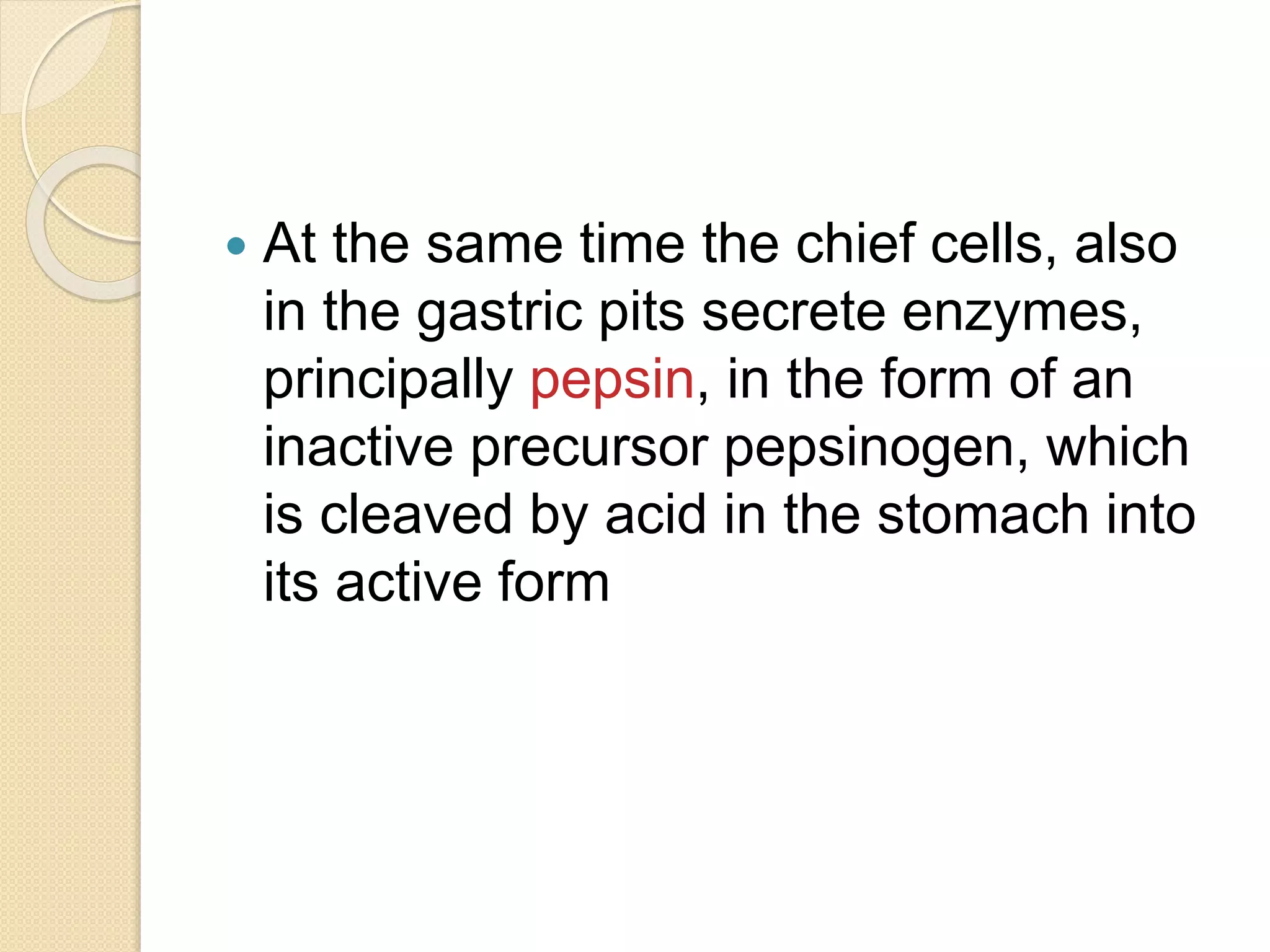  At the same time the chief cells, also
in the gastric pits secrete enzymes,
principally pepsin, in the form of an
inactive precursor pepsinogen, which
is cleaved by acid in the stomach into
its active form
 