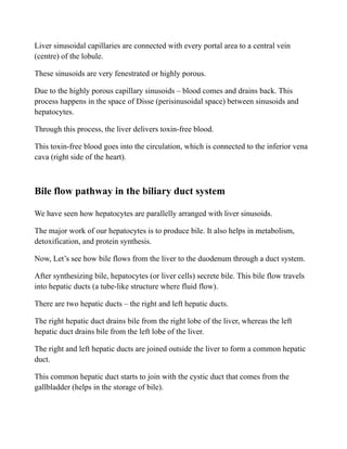 Liver sinusoidal capillaries are connected with every portal area to a central vein
(centre) of the lobule.
These sinusoids are very fenestrated or highly porous.
Due to the highly porous capillary sinusoids – blood comes and drains back. This
process happens in the space of Disse (perisinusoidal space) between sinusoids and
hepatocytes.
Through this process, the liver delivers toxin-free blood.
This toxin-free blood goes into the circulation, which is connected to the inferior vena
cava (right side of the heart).
Bile flow pathway in the biliary duct system
We have seen how hepatocytes are parallelly arranged with liver sinusoids.
The major work of our hepatocytes is to produce bile. It also helps in metabolism,
detoxification, and protein synthesis.
Now, Let’s see how bile flows from the liver to the duodenum through a duct system.
After synthesizing bile, hepatocytes (or liver cells) secrete bile. This bile flow travels
into hepatic ducts (a tube-like structure where fluid flow).
There are two hepatic ducts – the right and left hepatic ducts.
The right hepatic duct drains bile from the right lobe of the liver, whereas the left
hepatic duct drains bile from the left lobe of the liver.
The right and left hepatic ducts are joined outside the liver to form a common hepatic
duct.
This common hepatic duct starts to join with the cystic duct that comes from the
gallbladder (helps in the storage of bile).
 