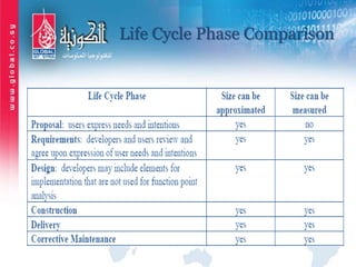 Life Cycle Phase Comparison
 