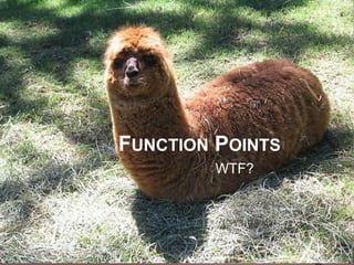 FUNCTION POINTS
        WTF?
 
