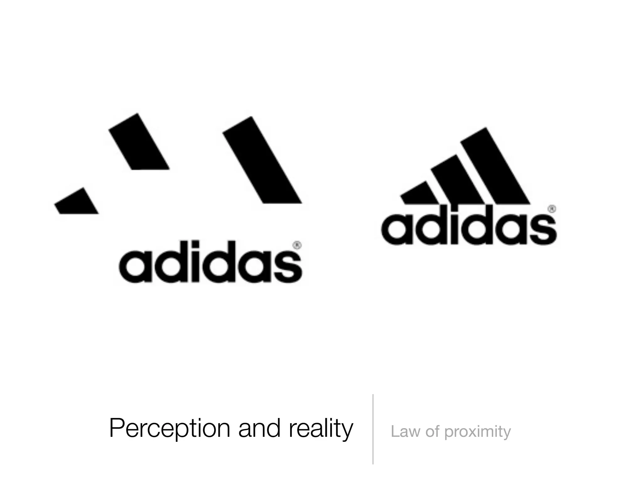 Perception and reality

Law of proximity

 