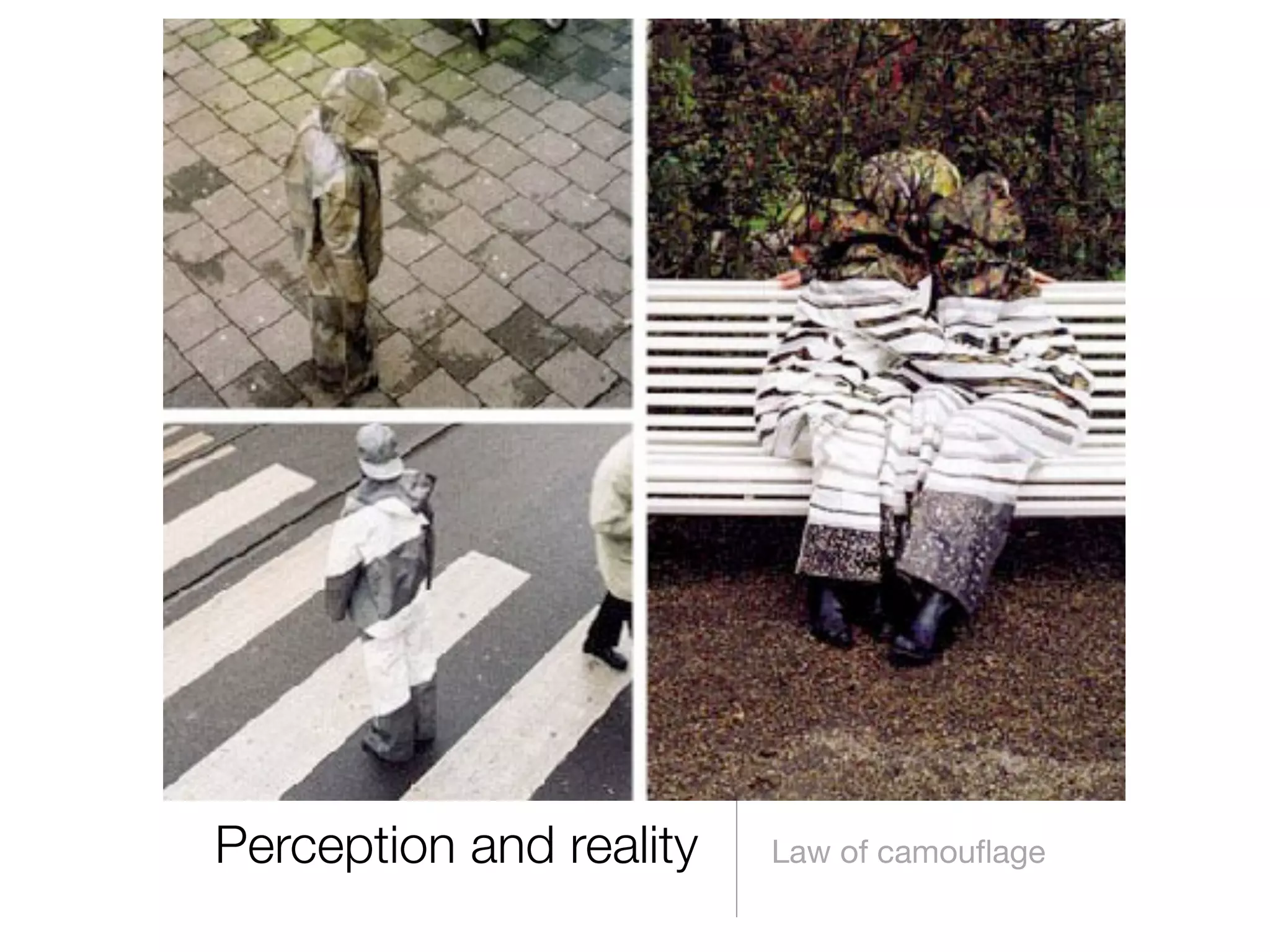 Perception and reality

Law of camouﬂage

 