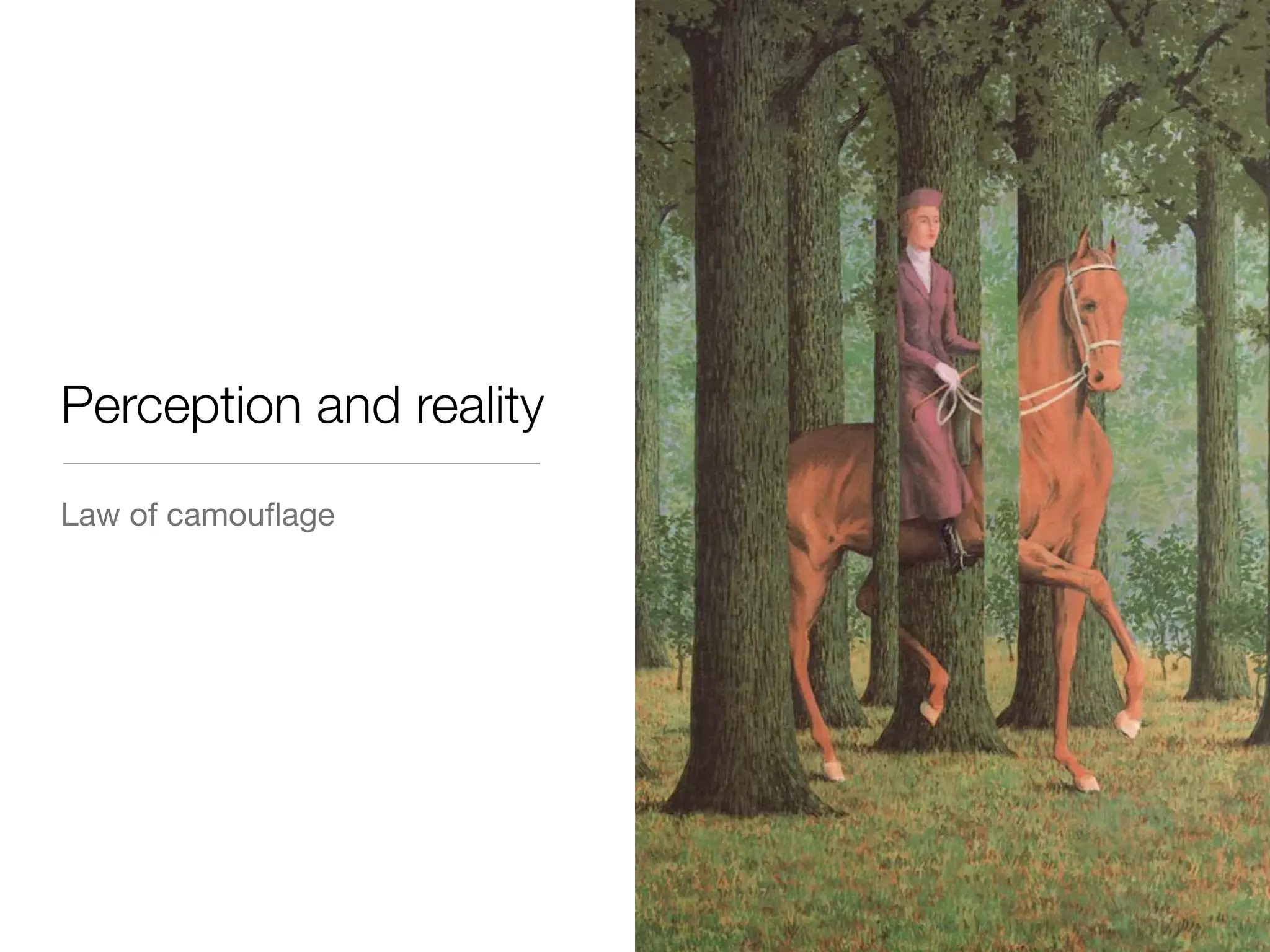 Perception and reality
Law of camouﬂage

 