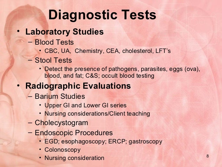 Functions Of The Digestive System