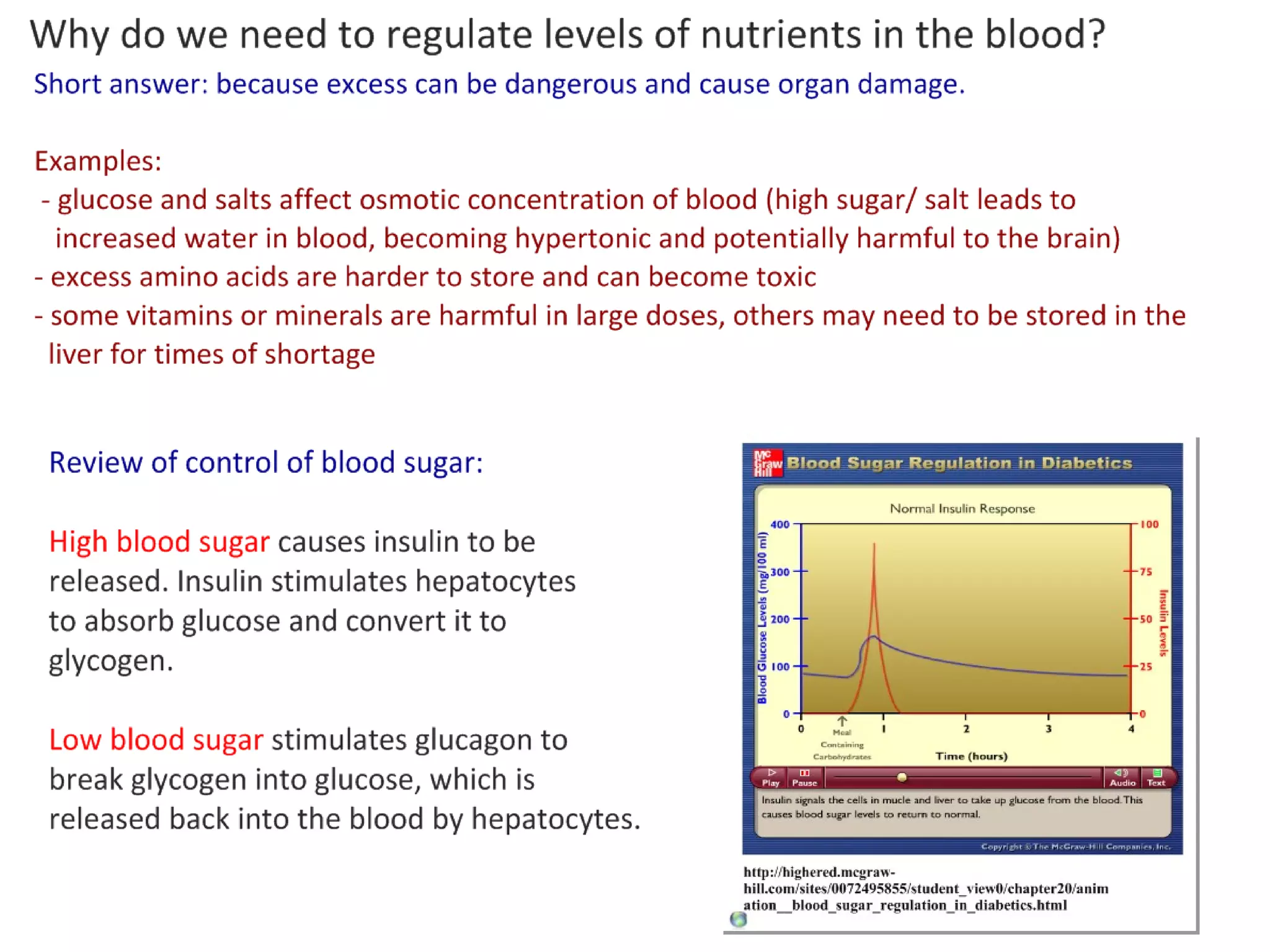Functions Of The Liver | PPT