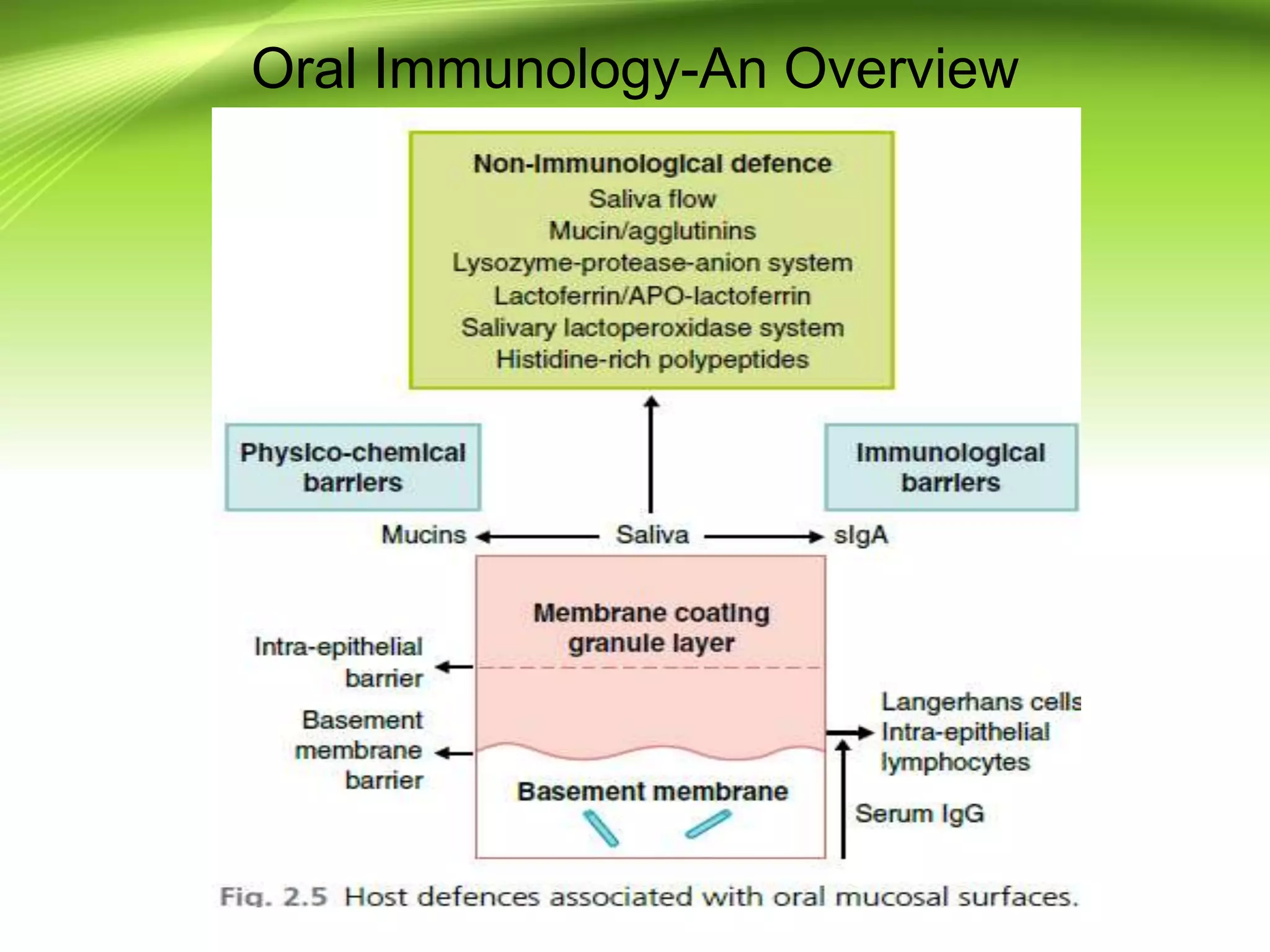 Oral Immunology-An Overview
 
