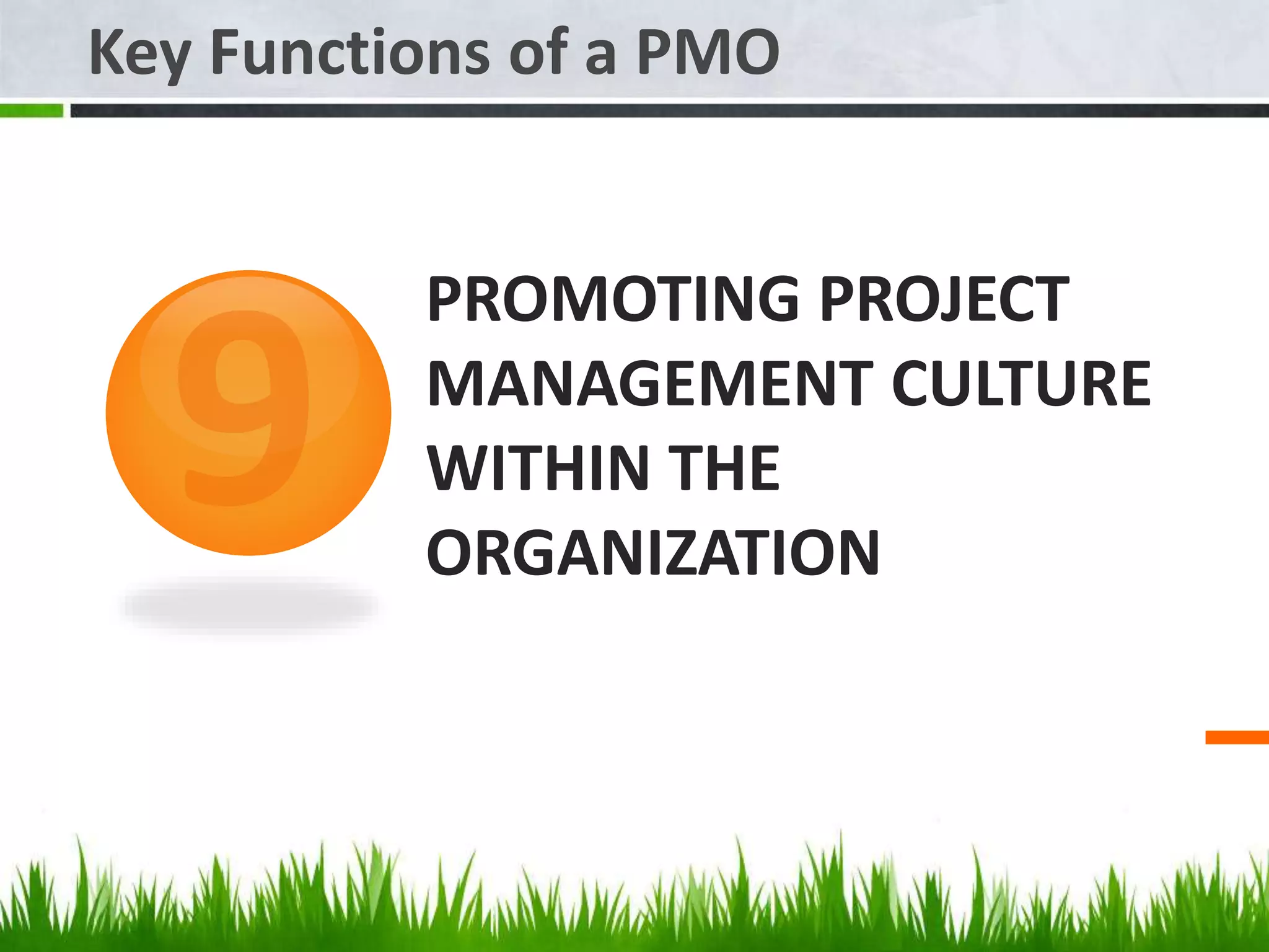 PROMOTING PROJECT
MANAGEMENT CULTURE
WITHIN THE
ORGANIZATION
Key Functions of a PMO
 