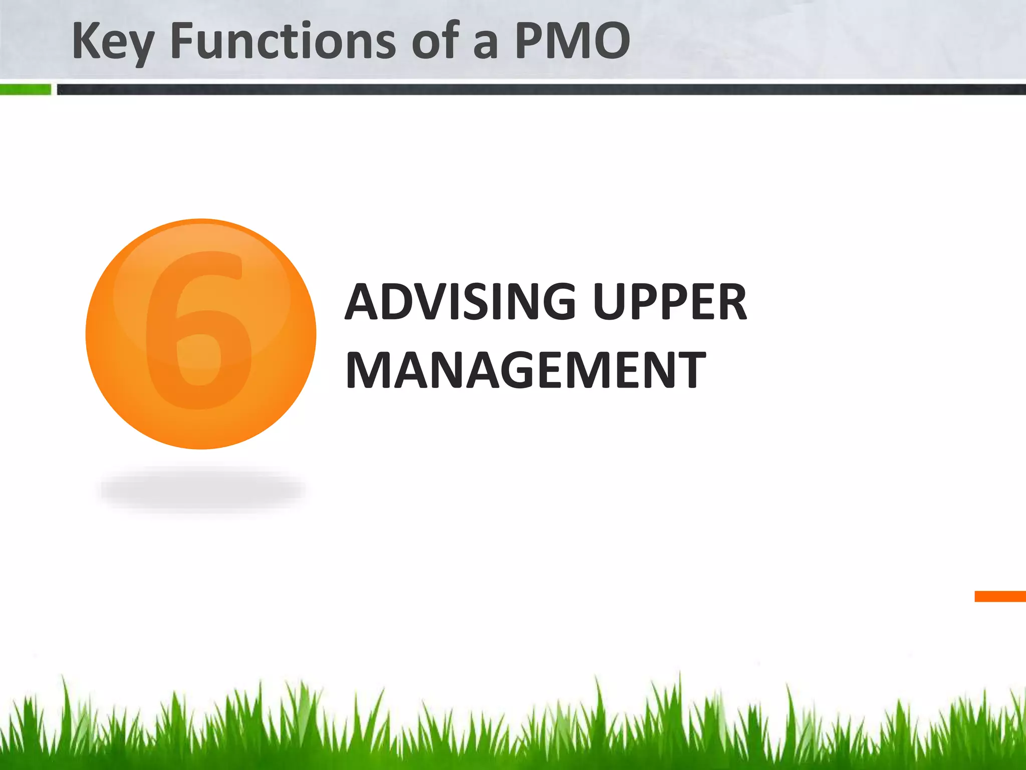 ADVISING UPPER
MANAGEMENT
Key Functions of a PMO
 