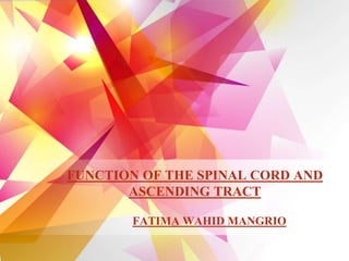 FUNCTION OF THE SPINAL CORD AND
ASCENDING TRACT
FATIMA WAHID MANGRIO
 