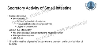 Functions and Disorders of Small Intestine | PPT