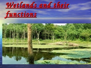 Wetlands and their functions   