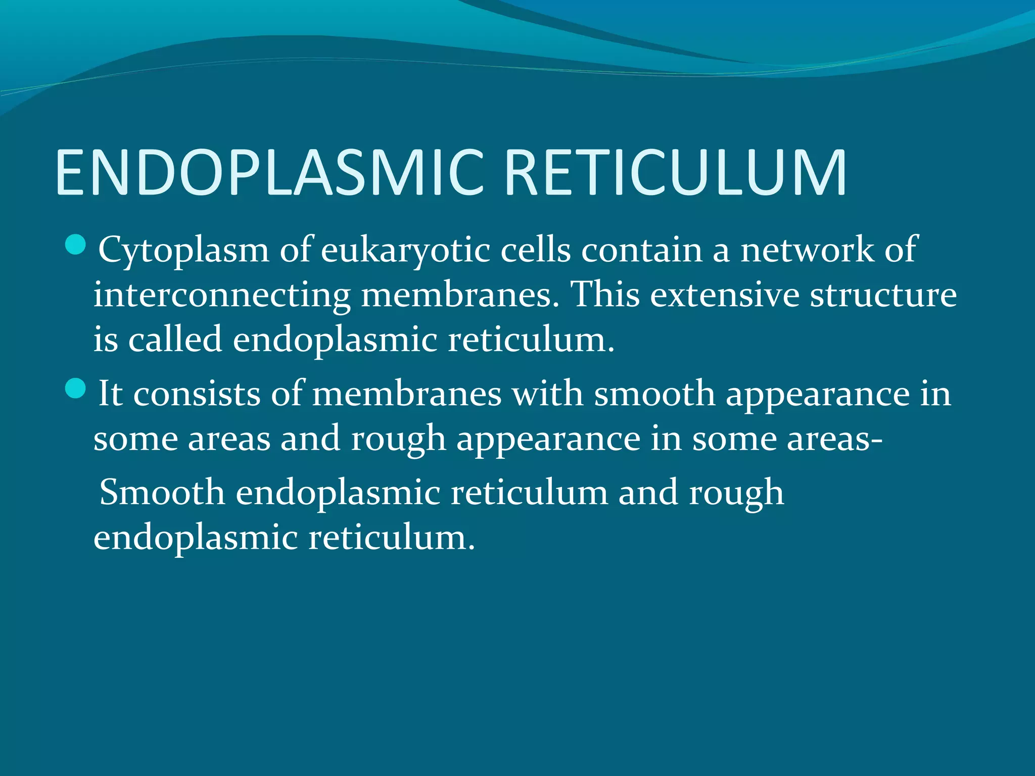 ENDOPLASMIC RETICULUM
Cytoplasm of eukaryotic cells contain a network of
interconnecting membranes. This extensive structure
is called endoplasmic reticulum.
It consists of membranes with smooth appearance in
some areas and rough appearance in some areas-
Smooth endoplasmic reticulum and rough
endoplasmic reticulum.
 