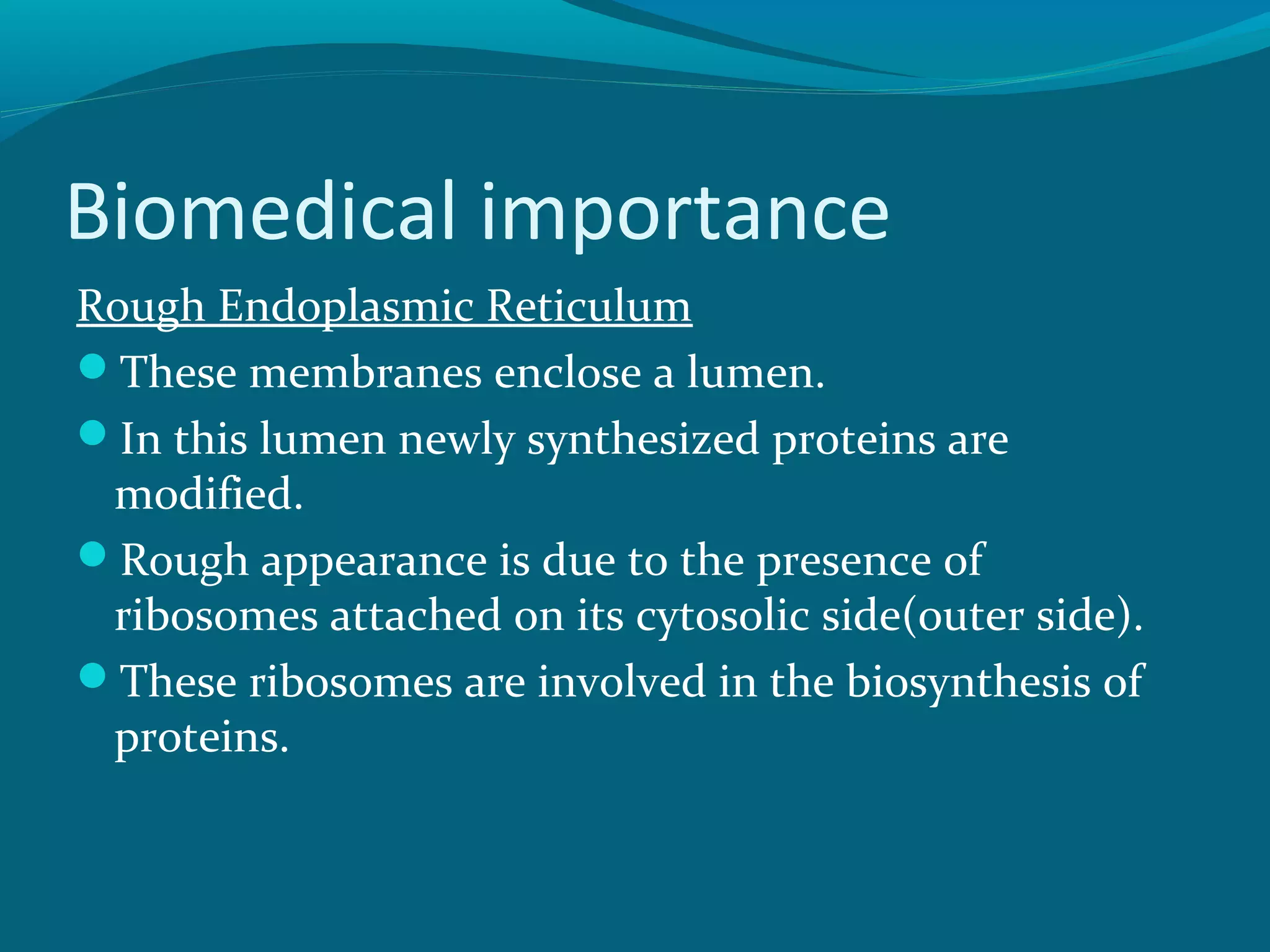 Biomedical importance
Rough Endoplasmic Reticulum
These membranes enclose a lumen.
In this lumen newly synthesized proteins are
modified.
Rough appearance is due to the presence of
ribosomes attached on its cytosolic side(outer side).
These ribosomes are involved in the biosynthesis of
proteins.
 