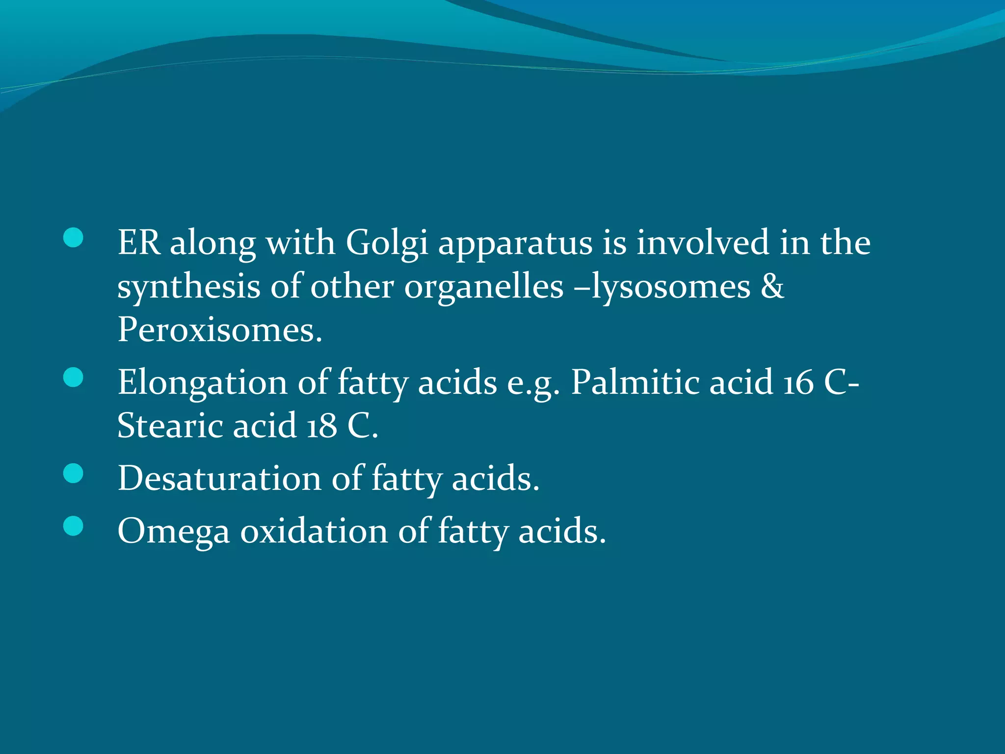  ER along with Golgi apparatus is involved in the
synthesis of other organelles –lysosomes &
Peroxisomes.
 Elongation of fatty acids e.g. Palmitic acid 16 C-
Stearic acid 18 C.
 Desaturation of fatty acids.
 Omega oxidation of fatty acids.
 