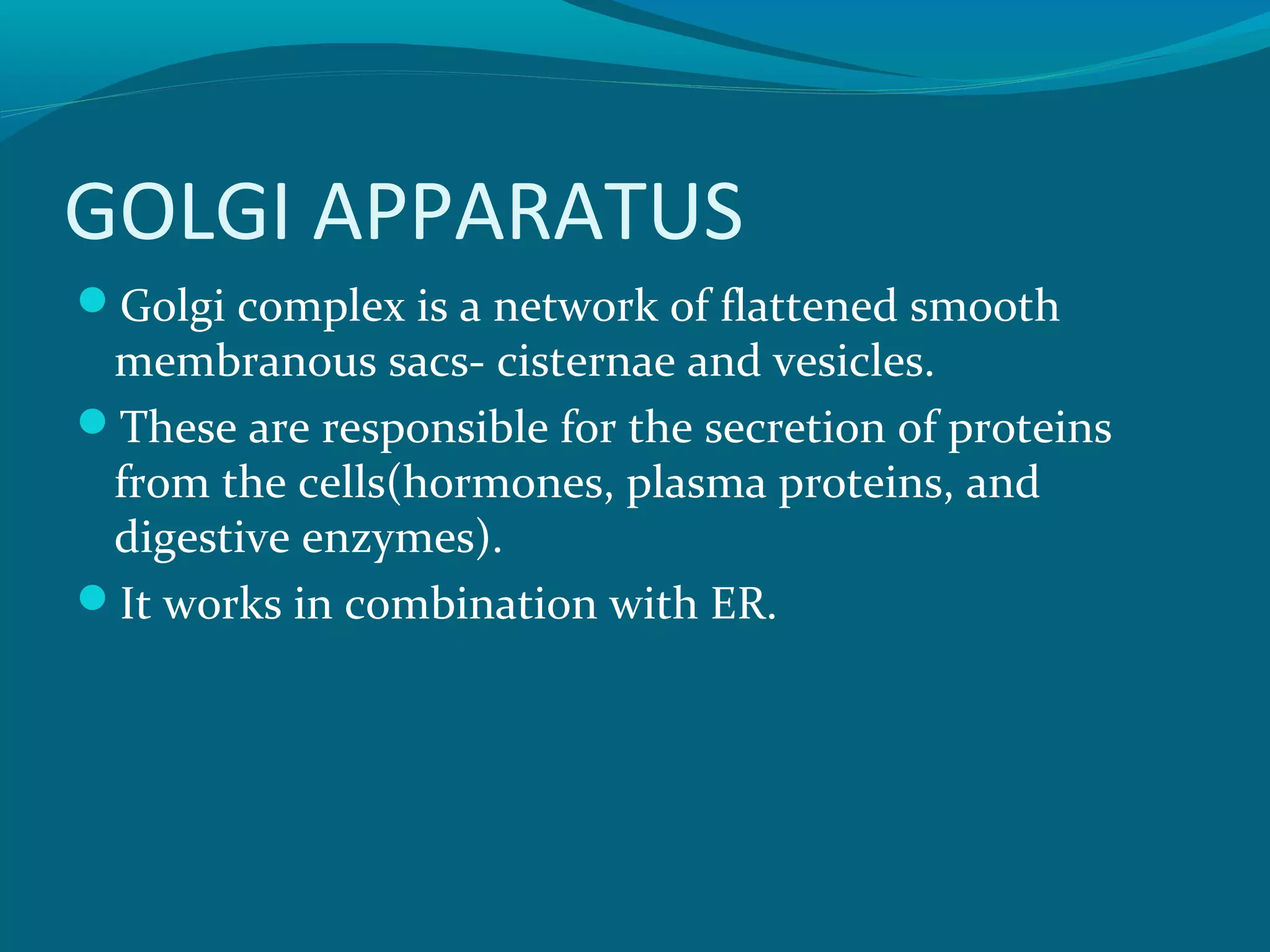 GOLGI APPARATUS
Golgi complex is a network of flattened smooth
membranous sacs- cisternae and vesicles.
These are responsible for the secretion of proteins
from the cells(hormones, plasma proteins, and
digestive enzymes).
It works in combination with ER.
 