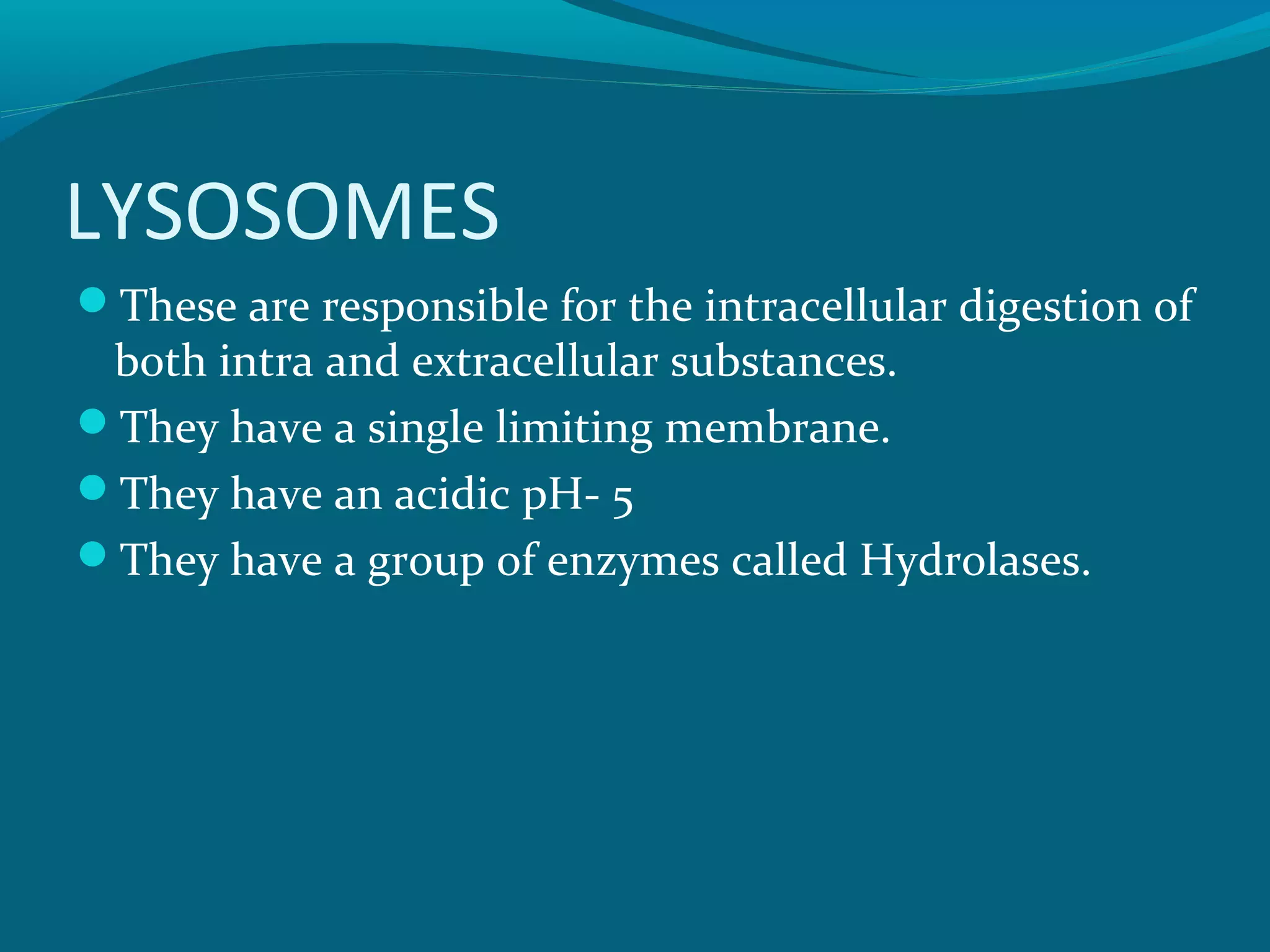 LYSOSOMES
These are responsible for the intracellular digestion of
both intra and extracellular substances.
They have a single limiting membrane.
They have an acidic pH- 5
They have a group of enzymes called Hydrolases.
 