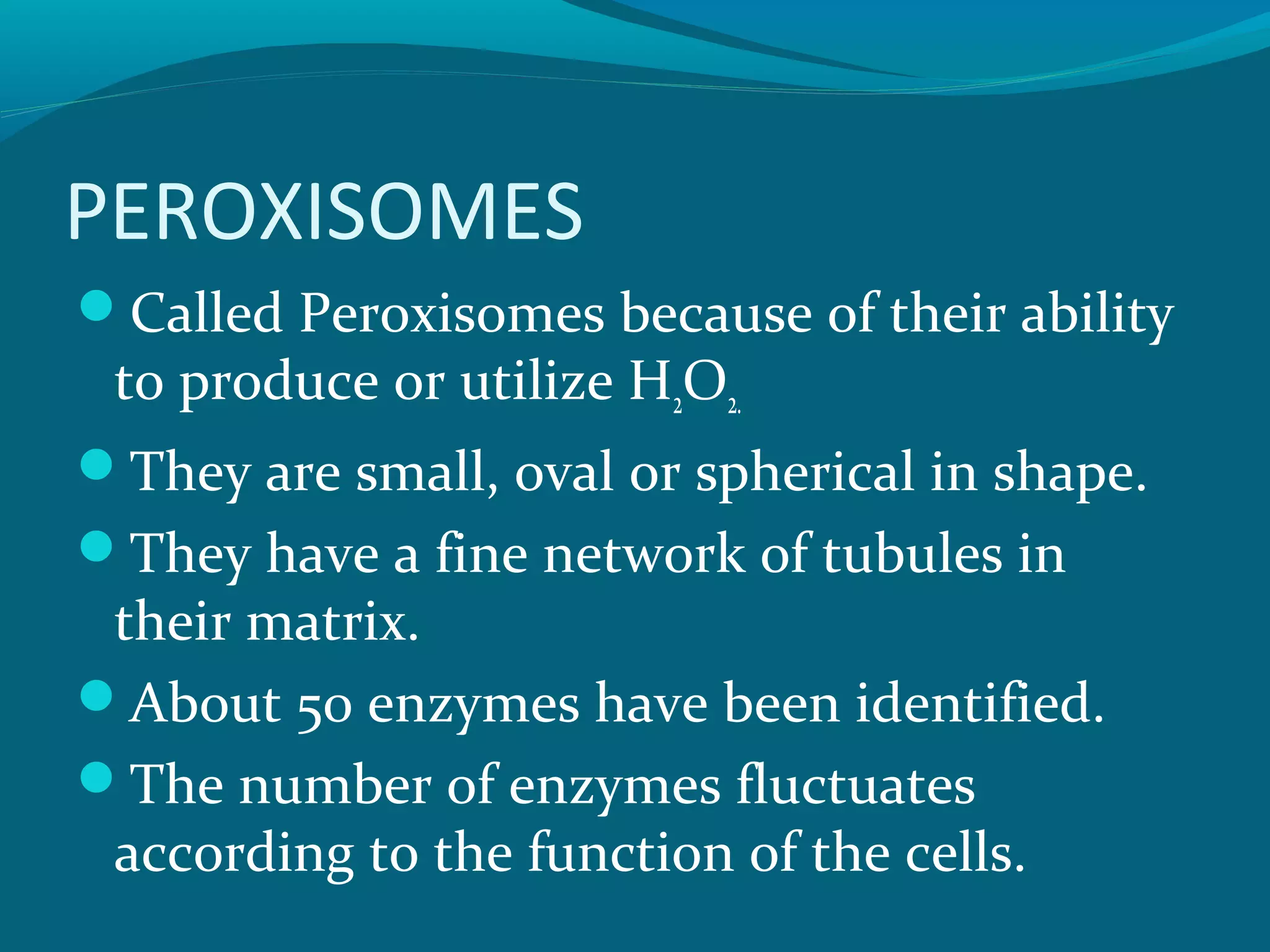 PEROXISOMES
Called Peroxisomes because of their ability
to produce or utilize H2O2.
They are small, oval or spherical in shape.
They have a fine network of tubules in
their matrix.
About 50 enzymes have been identified.
The number of enzymes fluctuates
according to the function of the cells.
 