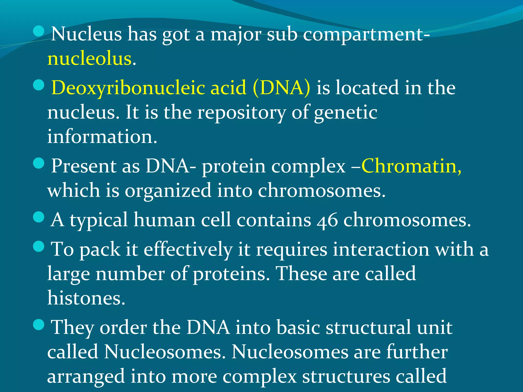 Nucleus has got a major sub compartment-
nucleolus.
Deoxyribonucleic acid (DNA) is located in the
nucleus. It is the repository of genetic
information.
Present as DNA- protein complex –Chromatin,
which is organized into chromosomes.
A typical human cell contains 46 chromosomes.
To pack it effectively it requires interaction with a
large number of proteins. These are called
histones.
They order the DNA into basic structural unit
called Nucleosomes. Nucleosomes are further
arranged into more complex structures called
 
