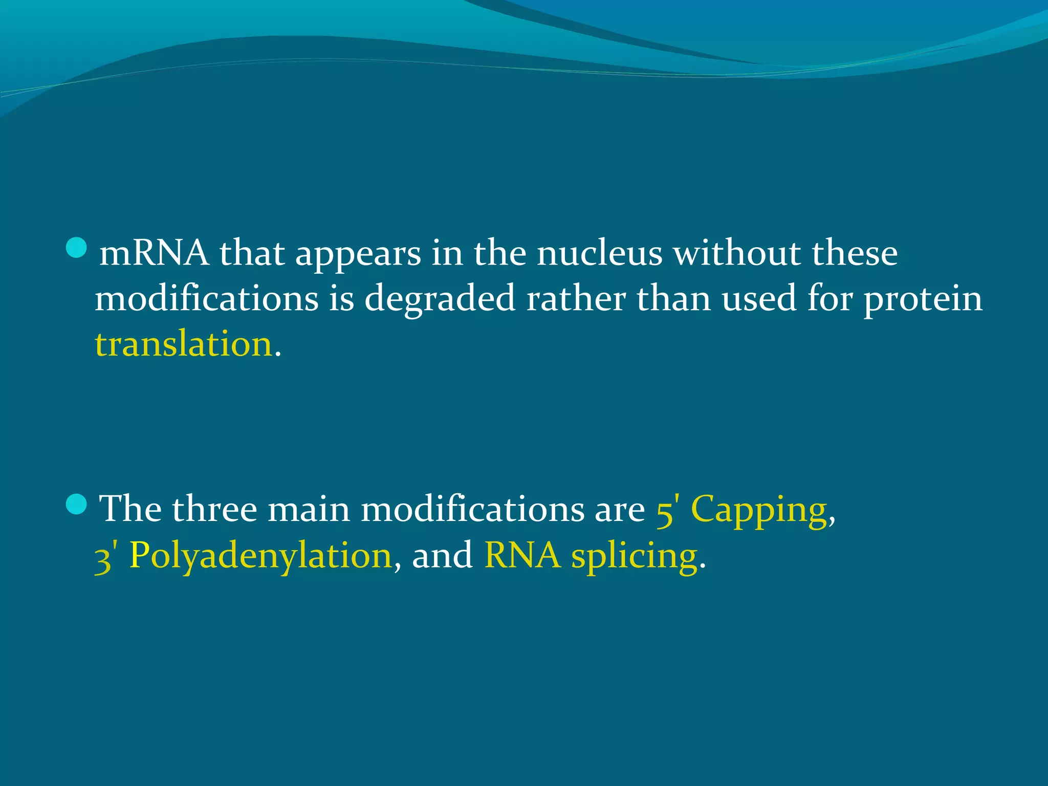 mRNA that appears in the nucleus without these
modifications is degraded rather than used for protein
translation.
The three main modifications are 5' Capping,
3' Polyadenylation, and RNA splicing.
 