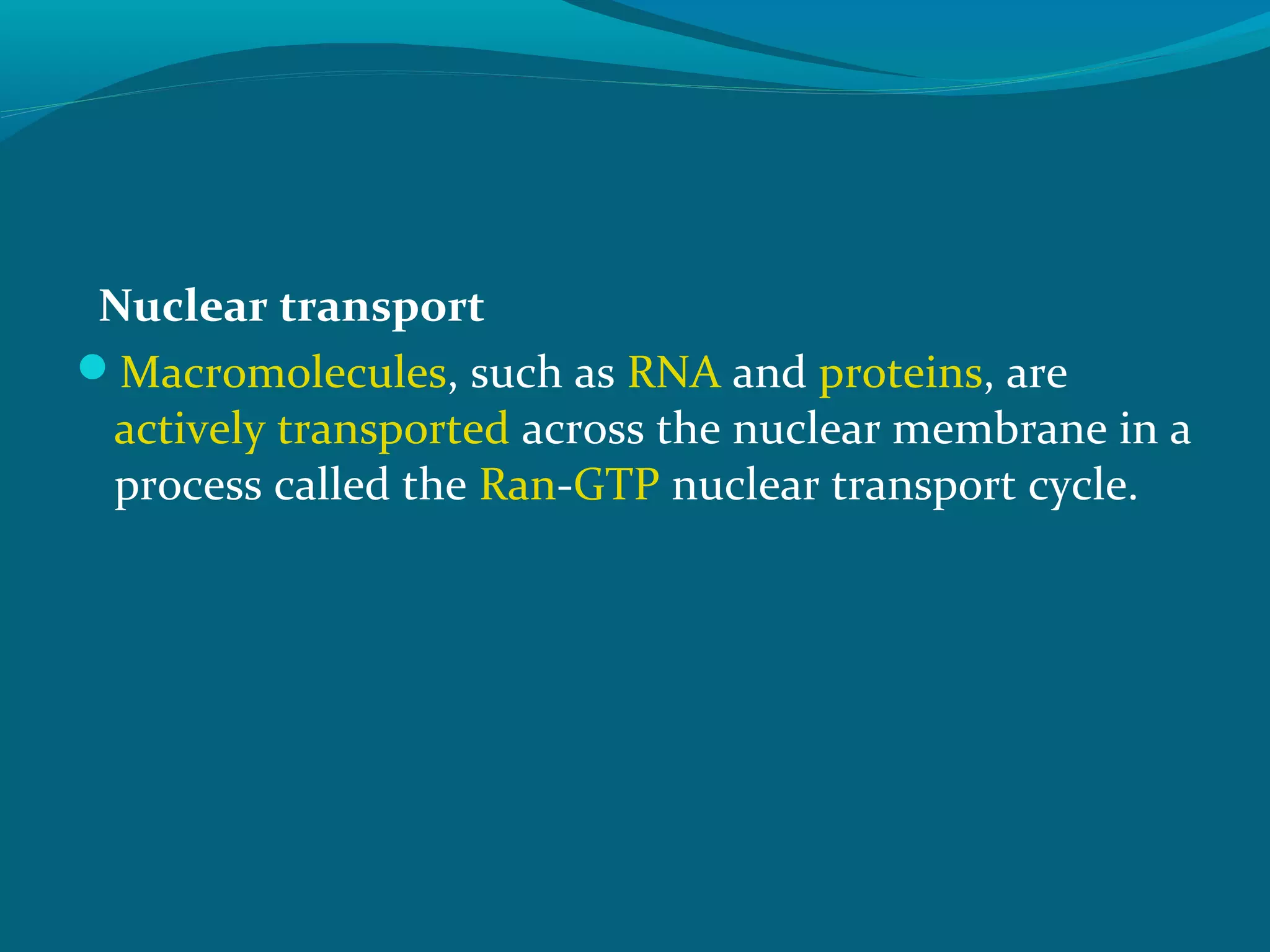 Nuclear transport
Macromolecules, such as RNA and proteins, are
actively transported across the nuclear membrane in a
process called the Ran-GTP nuclear transport cycle.
 