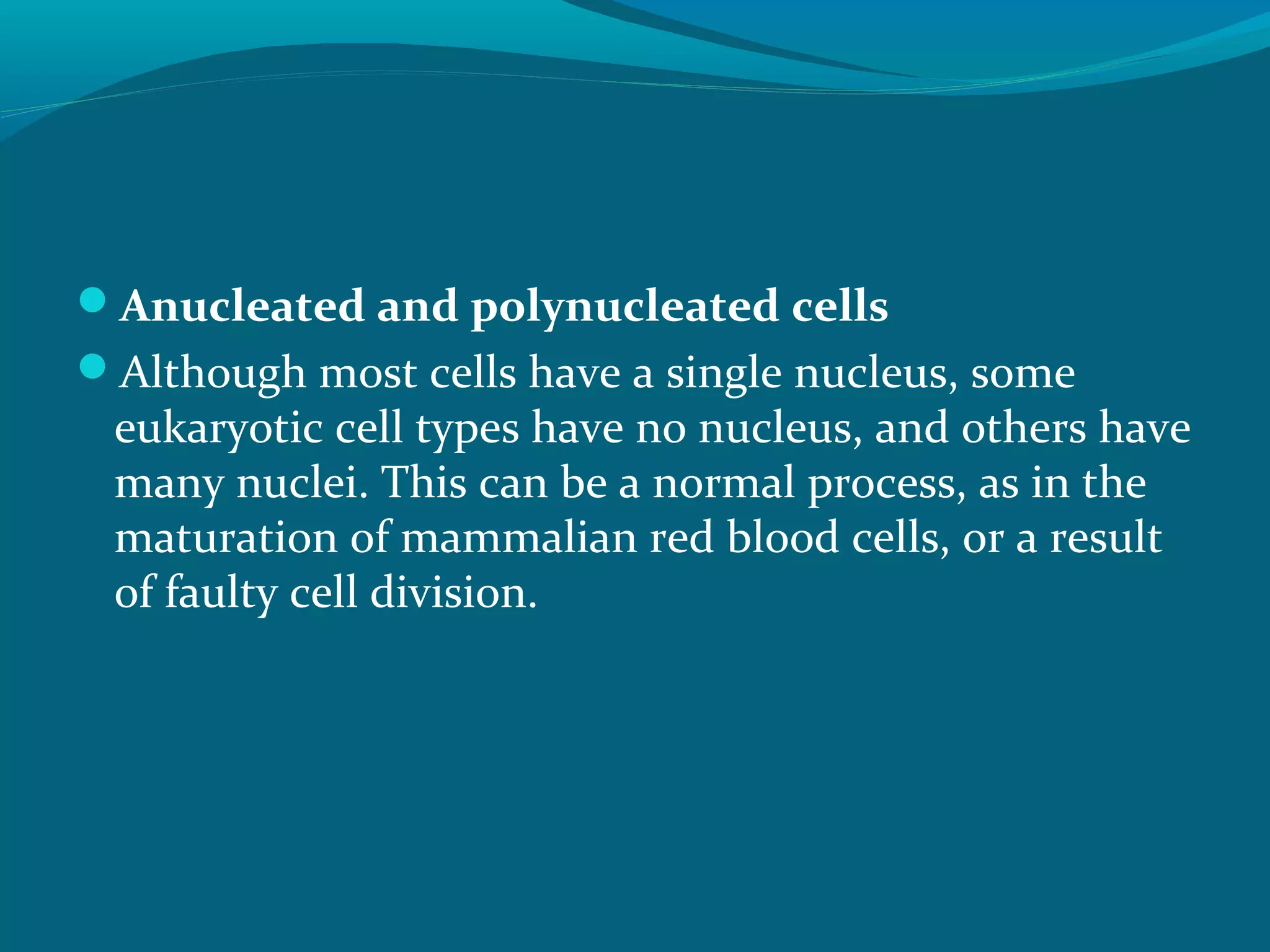 Anucleated and polynucleated cells
Although most cells have a single nucleus, some
eukaryotic cell types have no nucleus, and others have
many nuclei. This can be a normal process, as in the
maturation of mammalian red blood cells, or a result
of faulty cell division.
 