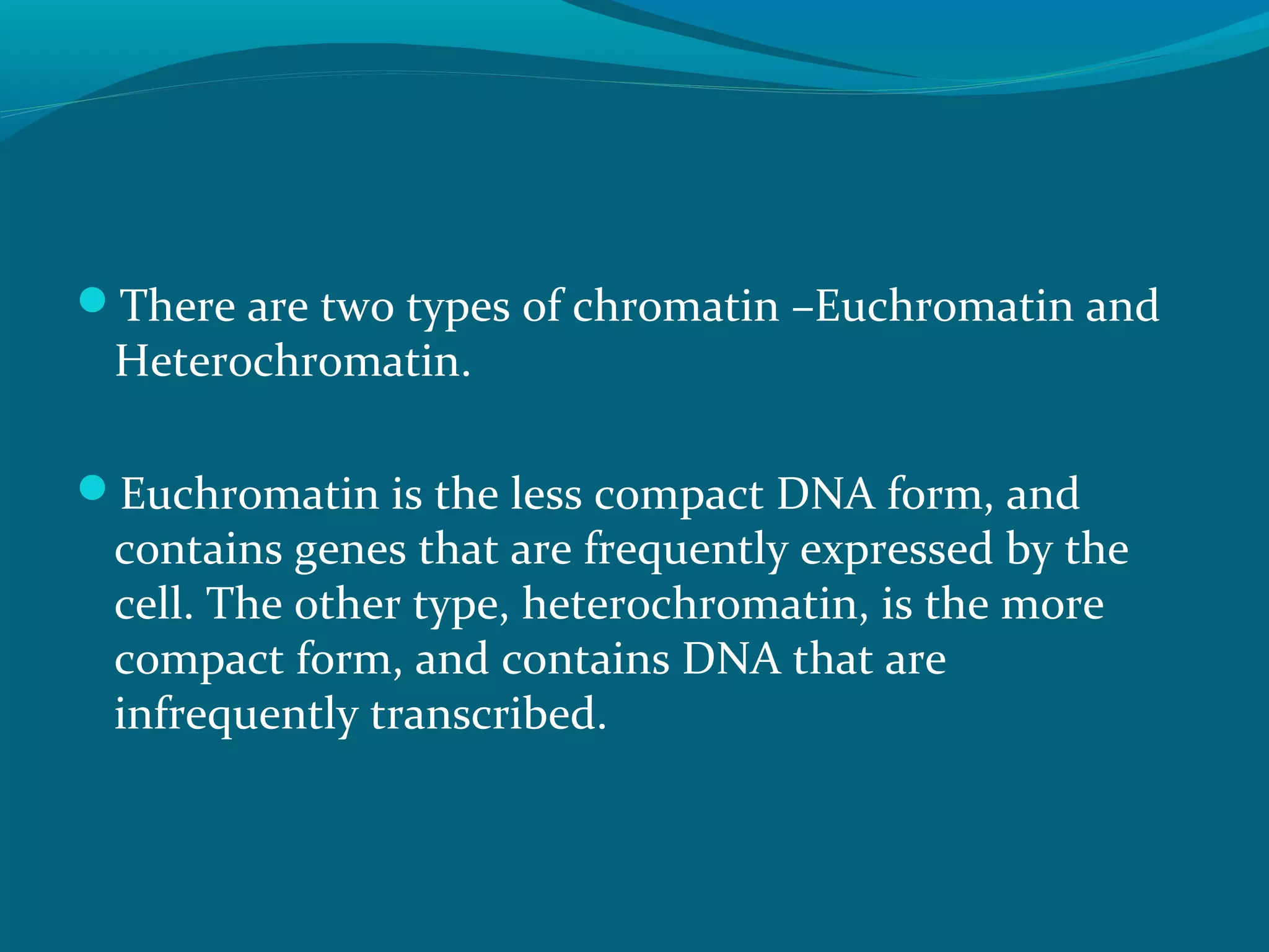 There are two types of chromatin –Euchromatin and
Heterochromatin.
Euchromatin is the less compact DNA form, and
contains genes that are frequently expressed by the
cell. The other type, heterochromatin, is the more
compact form, and contains DNA that are
infrequently transcribed.
 
