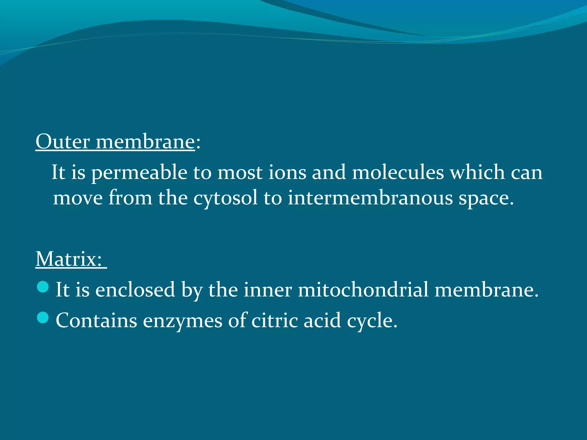 Outer membrane:
It is permeable to most ions and molecules which can
move from the cytosol to intermembranous space.
Matrix:
It is enclosed by the inner mitochondrial membrane.
Contains enzymes of citric acid cycle.
 