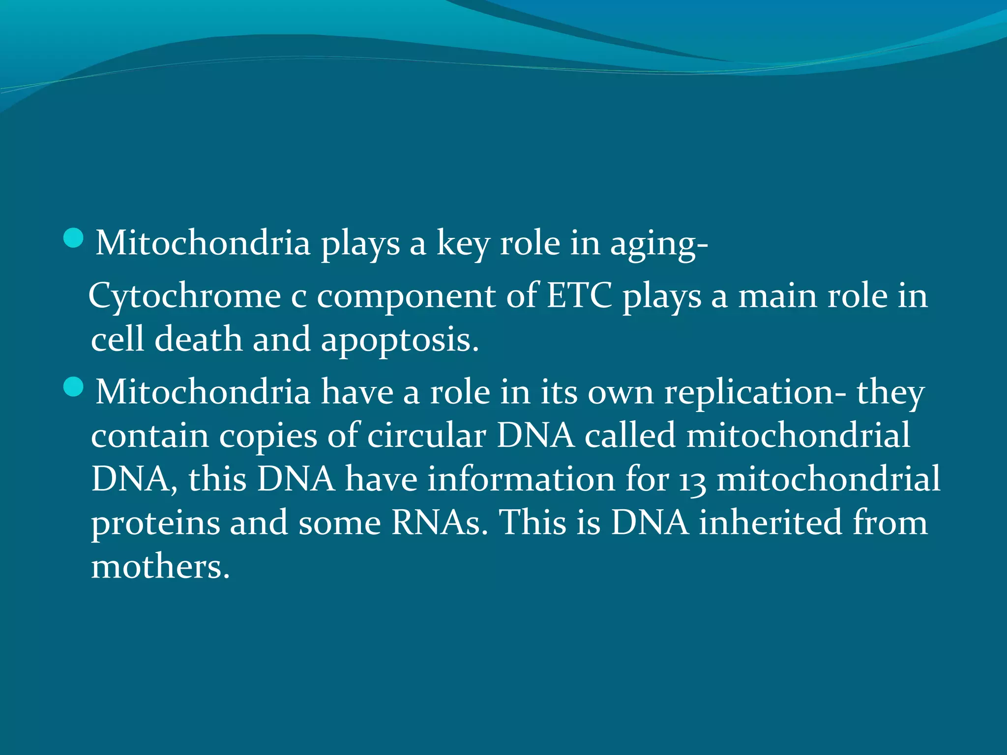 Mitochondria plays a key role in aging-
Cytochrome c component of ETC plays a main role in
cell death and apoptosis.
Mitochondria have a role in its own replication- they
contain copies of circular DNA called mitochondrial
DNA, this DNA have information for 13 mitochondrial
proteins and some RNAs. This is DNA inherited from
mothers.
 