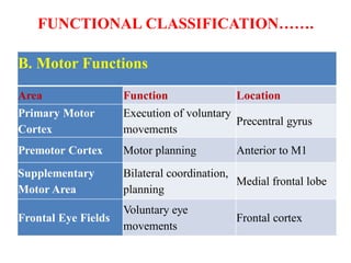 Functions of cerebral jsnsjjsgabancortex-PRB.pdf