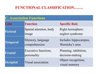 Functions of cerebral jsnsjjsgabancortex-PRB.pdf