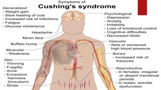 Functions of cortisol