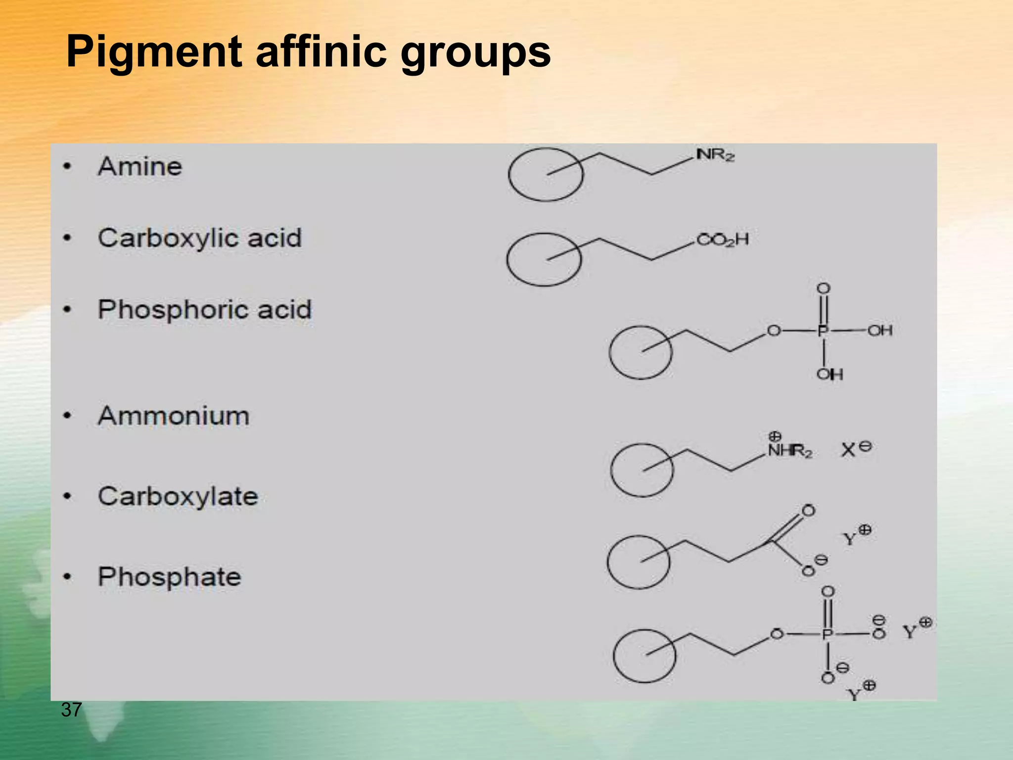 Pigment affinic groups
37
 