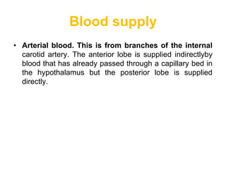 Blood supply
• Arterial blood. This is from branches of the internal
carotid artery. The anterior lobe is supplied indirectlyby
blood that has already passed through a capillary bed in
the hypothalamus but the posterior lobe is supplied
directly.
 