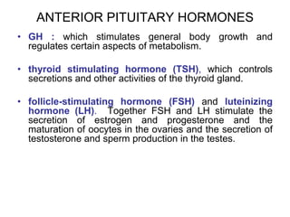 ANTERIOR PITUITARY HORMONES
• GH : which stimulates general body growth and
regulates certain aspects of metabolism.
• thyroid stimulating hormone (TSH), which controls
secretions and other activities of the thyroid gland.
• follicle-stimulating hormone (FSH) and luteinizing
hormone (LH). Together FSH and LH stimulate the
secretion of estrogen and progesterone and the
maturation of oocytes in the ovaries and the secretion of
testosterone and sperm production in the testes.
 