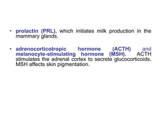 • prolactin (PRL), which initiates milk production in the
mammary glands.
• adrenocorticotropic hormone (ACTH) and
melanocyte-stimulating hormone (MSH). ACTH
stimulates the adrenal cortex to secrete glucocorticoids.
MSH affects skin pigmentation.
 