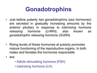 Gonadotrophins
• Just before puberty two gonadotrophins (sex hormones)
are secreted in gradually increasing amounts by the
anterior pituitary in response to luteinising hormone
releasing hormone (LHRH), also known as
gonadotrophin releasing hormone (GnRH).
• Rising levels of these hormones at puberty promotes
mature functioning of the reproductive organs. In both
males and females the hormones responsible
• are:
• follicle stimulating hormone (FSH)
• luteinising hormone (LH).
 