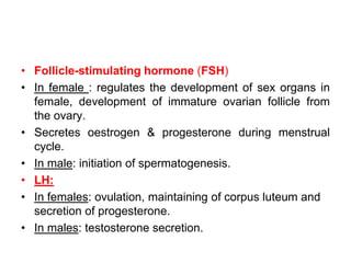 • Follicle-stimulating hormone (FSH)
• In female : regulates the development of sex organs in
female, development of immature ovarian follicle from
the ovary.
• Secretes oestrogen & progesterone during menstrual
cycle.
• In male: initiation of spermatogenesis.
• LH:
• In females: ovulation, maintaining of corpus luteum and
secretion of progesterone.
• In males: testosterone secretion.
 