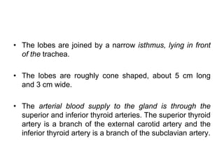 • The lobes are joined by a narrow isthmus, lying in front
of the trachea.
• The lobes are roughly cone shaped, about 5 cm long
and 3 cm wide.
• The arterial blood supply to the gland is through the
superior and inferior thyroid arteries. The superior thyroid
artery is a branch of the external carotid artery and the
inferior thyroid artery is a branch of the subclavian artery.
 