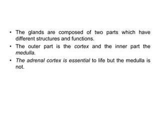 • The glands are composed of two parts which have
different structures and functions.
• The outer part is the cortex and the inner part the
medulla.
• The adrenal cortex is essential to life but the medulla is
not.
 