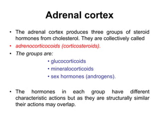Adrenal cortex
• The adrenal cortex produces three groups of steroid
hormones from cholesterol. They are collectively called
• adrenocorticocoids (corticosteroids).
• The groups are:
• glucocorticoids
• mineralocorticoids
• sex hormones (androgens).
• The hormones in each group have different
characteristic actions but as they are structurally similar
their actions may overlap.
 