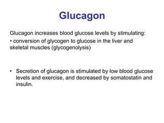 Glucagon
Glucagon increases blood glucose levels by stimulating:
• conversion of glycogen to glucose in the liver and
skeletal muscles (glycogenolysis)
• Secretion of glucagon is stimulated by low blood glucose
levels and exercise, and decreased by somatostatin and
insulin.
 