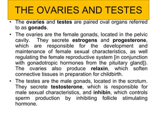 THE OVARIES AND TESTES
• The ovaries and testes are paired oval organs referred
to as gonads.
• The ovaries are the female gonads, located in the pelvic
cavity. They secrete estrogens and progesterone,
which are responsible for the development and
maintenance of female sexual characteristics, as well
regulating the female reproductive system [in conjunction
with gonadotropic hormones from the pituitary gland]).
The ovaries also produce relaxin, which soften
connective tissues in preparation for childbirth.
• The testes are the male gonads, located in the scrotum.
They secrete testosterone, which is responsible for
male sexual characteristics, and inhibin, which controls
sperm production by inhibiting follicle stimulating
hormone.
 