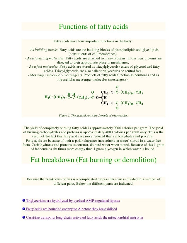 Functions of fatty acids