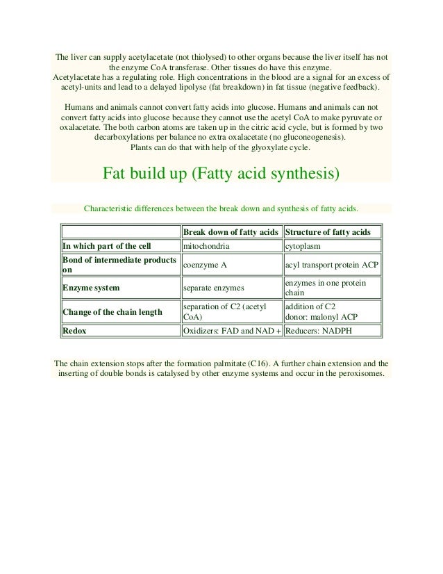 Functions of fatty acids