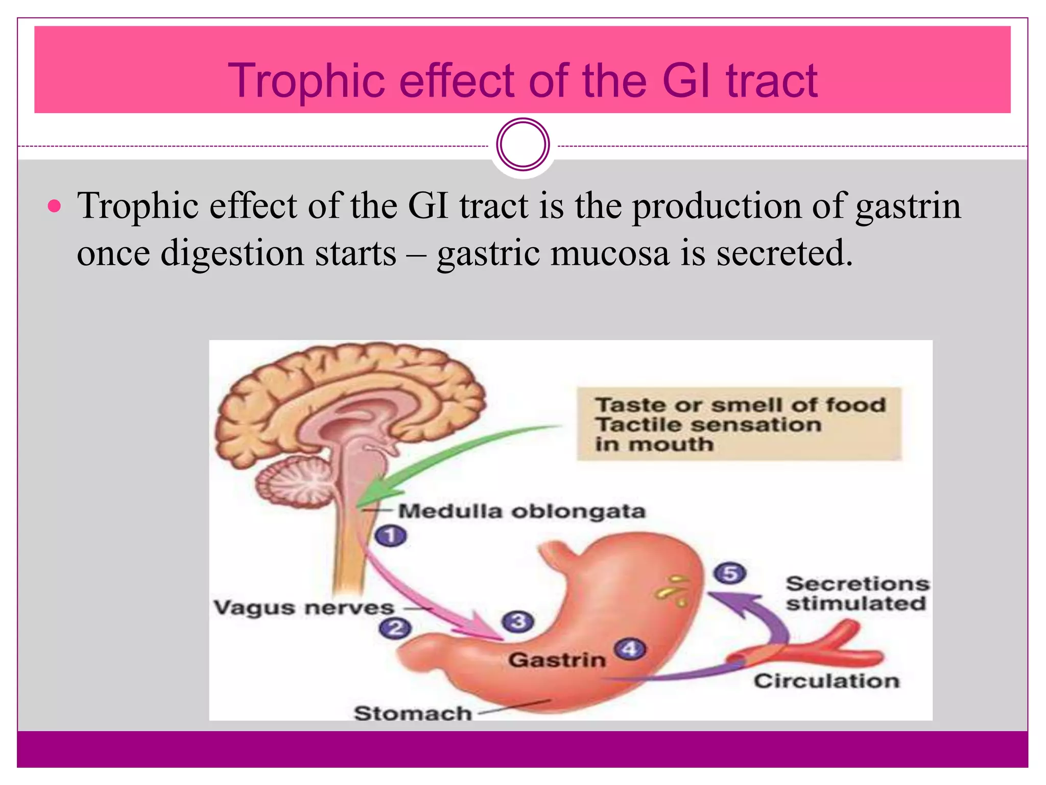 Trophic effect of the GI tract
 Trophic effect of the GI tract is the production of gastrin
once digestion starts – gastric mucosa is secreted.
 