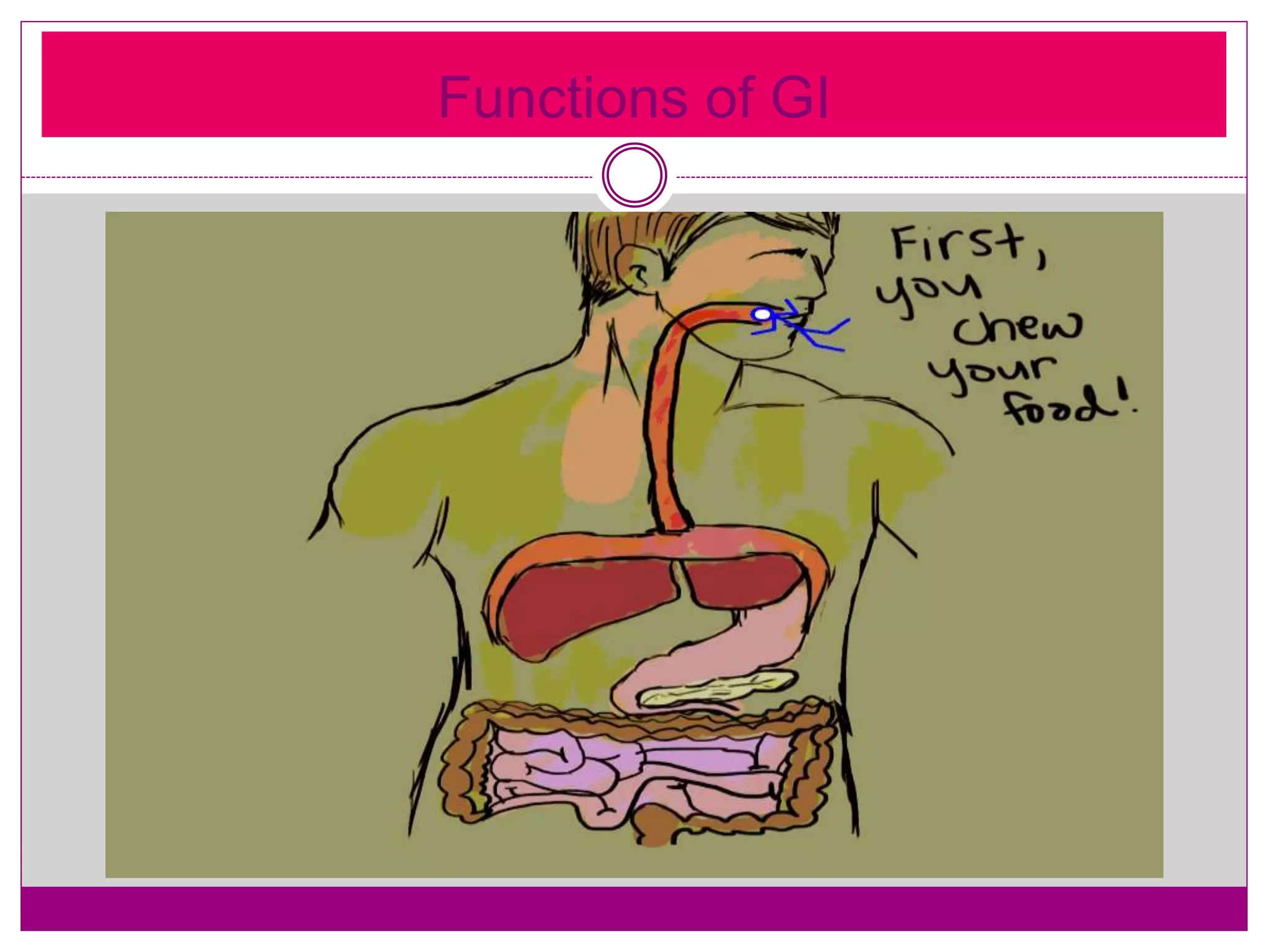 Functions of GI
 