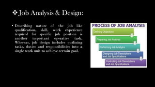 FUNCTIONS OF HRM.pdf