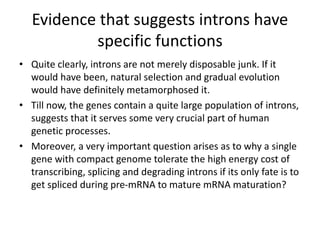 FUNCTIONS OF INTRONS.pptx